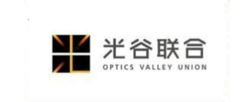 武漢光谷聯合有限公司